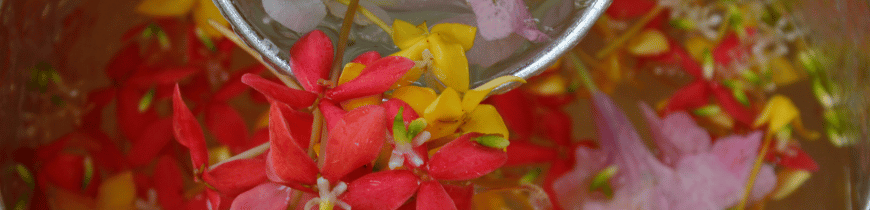 Fragrance diffusers
