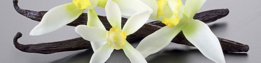 Tahitian Vanilla